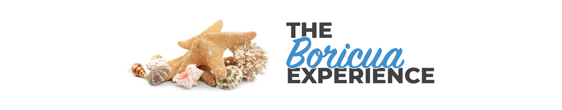 The Boricua Experience Header